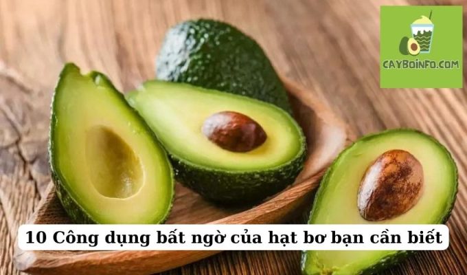 10 Công dụng bất ngờ của hạt bơ bạn cần biết