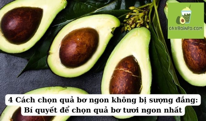 4 Cách chọn quả bơ ngon không bị sượng đắng: Bí quyết để chọn quả bơ tươi ngon nhất