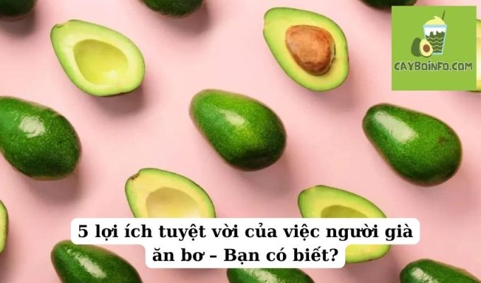 5 lợi ích tuyệt vời của việc người già ăn bơ – Bạn có biết?