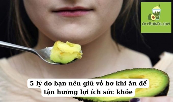 5 lý do bạn nên giữ vỏ bơ khi ăn để tận hưởng lợi ích sức khỏe