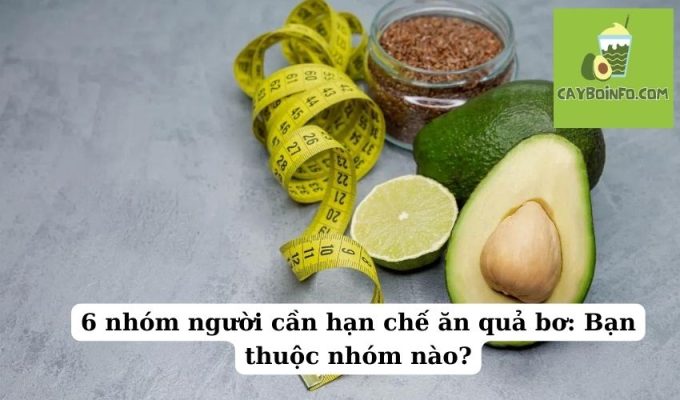 6 nhóm người cần hạn chế ăn quả bơ: Bạn thuộc nhóm nào?