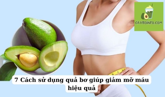 7 Cách sử dụng quả bơ giúp giảm mỡ máu hiệu quả