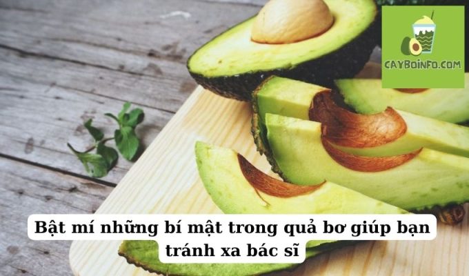 Bật mí những bí mật trong quả bơ giúp bạn tránh xa bác sĩ