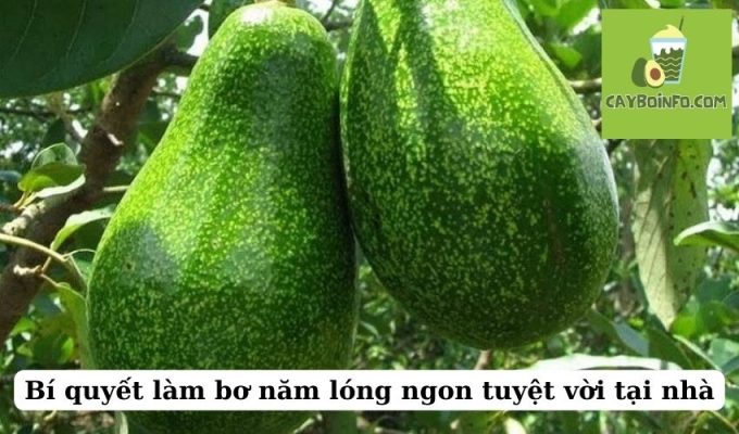 Bí quyết làm bơ năm lóng ngon tuyệt vời tại nhà