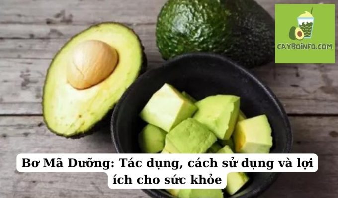 Bơ Mã Dưỡng: Tác dụng, cách sử dụng và lợi ích cho sức khỏe