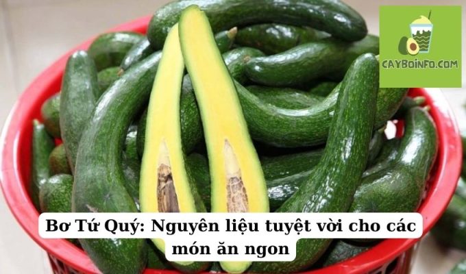 Bơ Tứ Quý: Nguyên liệu tuyệt vời cho các món ăn ngon