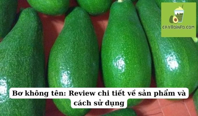 Bơ không tên: Review chi tiết về sản phẩm và cách sử dụng