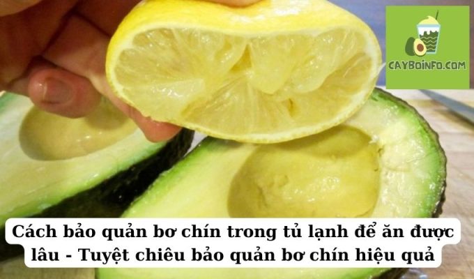 Cách bảo quản bơ chín trong tủ lạnh để ăn được lâu – Tuyệt chiêu bảo quản bơ chín hiệu quả