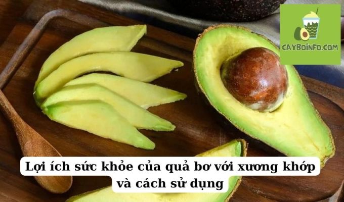 Lợi ích sức khỏe của quả bơ với xương khớp và cách sử dụng