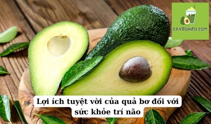 Lợi ích tuyệt vời của quả bơ đối với sức khỏe trí não