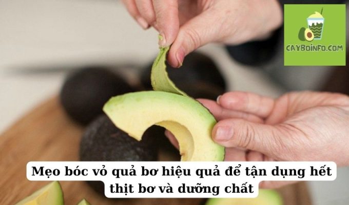 Mẹo bóc vỏ quả bơ hiệu quả để tận dụng hết thịt bơ và dưỡng chất