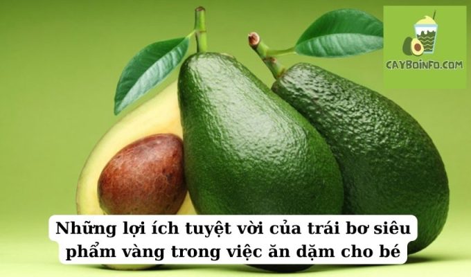 Những lợi ích tuyệt vời của trái bơ siêu phẩm vàng trong việc ăn dặm cho bé