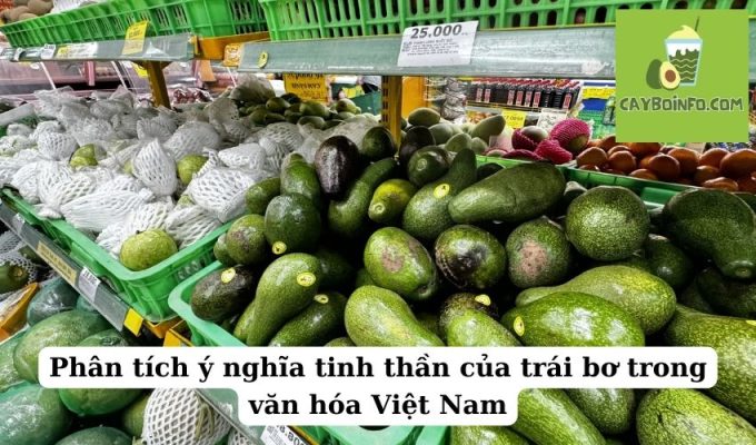 Phân tích ý nghĩa tinh thần của trái bơ trong văn hóa Việt Nam