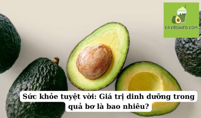 Sức khỏe tuyệt vời: Giá trị dinh dưỡng trong quả bơ là bao nhiêu?