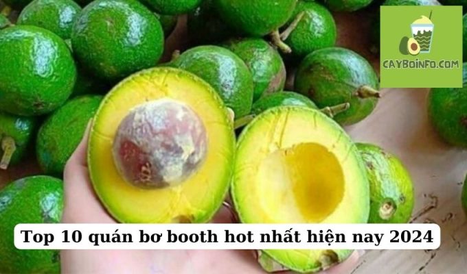 Top 10 quán bơ booth hot nhất hiện nay 2024