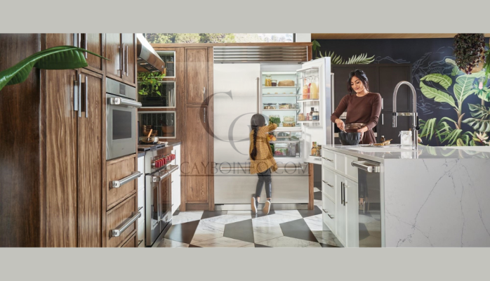 Premium Refrigerator: Elevating Kitchen Design and Food Preservation